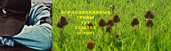 экстази Алзамай