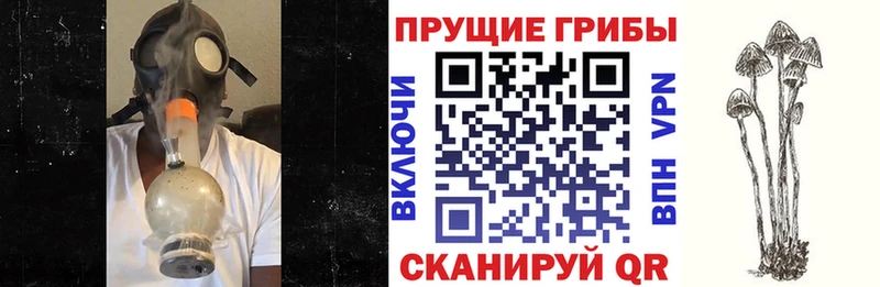 Галлюциногенные грибы ЛСД  Богучар 